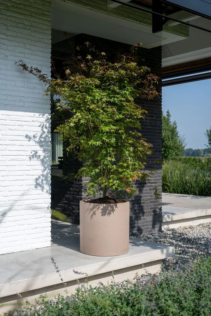 Pflanzkübel Max Taupe in Zylinderform aus Fiberstone