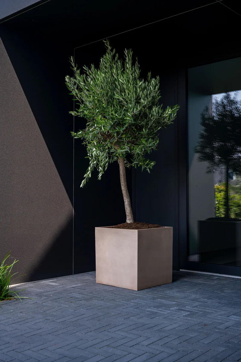 Eckiger Pflanzkübel Block Taupe aus Fiberstone