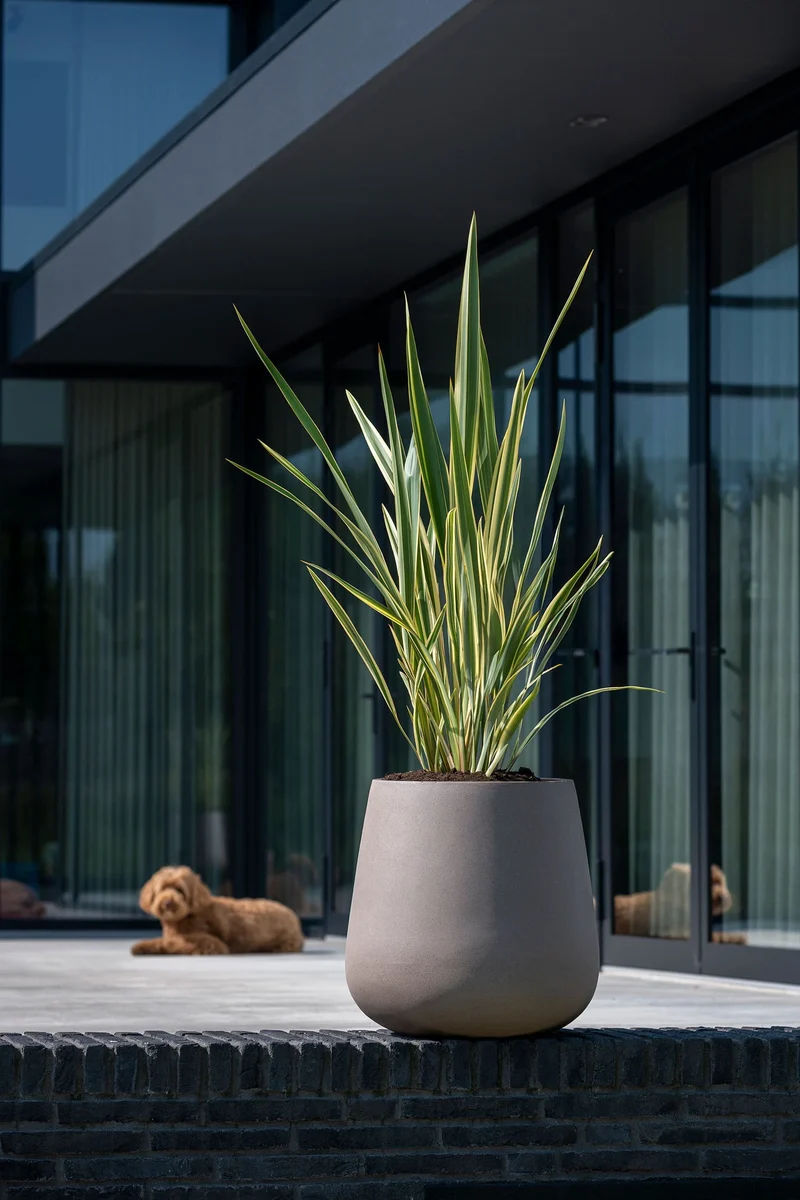 Pflanzkübel Pax Taupe aus robustem Fiberstone